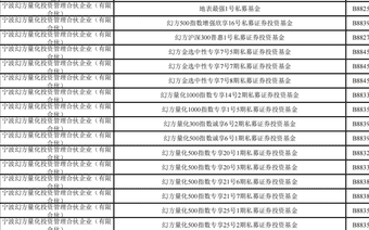 梁文锋打新长鑫科技，他身家已达2440亿元！中一签能赚多少钱？