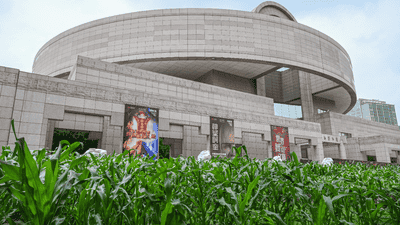 魔都眼｜从玉米地到世界树：上博新展以宇宙观串联三千年美洲文明