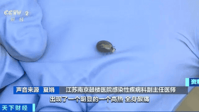 户外露营 小心被这种虫子“贴贴”！