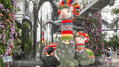 魔都眼｜世界树之境美洲植物展：印加“神兽”羊驼等你打卡