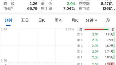 中公教育，股价大跌