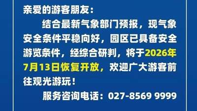 武汉文旅行业单位恢复常态化运行