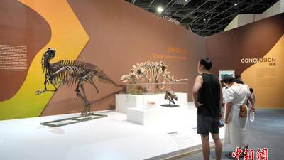 《白垩纪的回响——隅见地球最后的恐龙盛世》特展吸引参观者