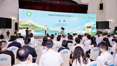 借势全国新茶饮盛会 饶平单丛茶加速迈向核心原料供应基地
