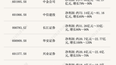 2026年半年度券商业绩大亮点：17家上市券商全部预增，两大龙头净利润超200亿，还有这些中型券商增速领跑引关注