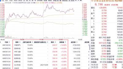科技牛行至右侧，长鑫上市波动难免，需要注意些什么？