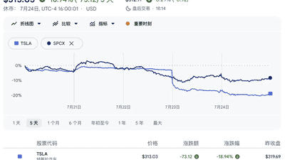 马斯克旗下两大公司集体震荡：特斯拉股价重挫超三成，SpaceX三周连跌还卡壳星舰试飞