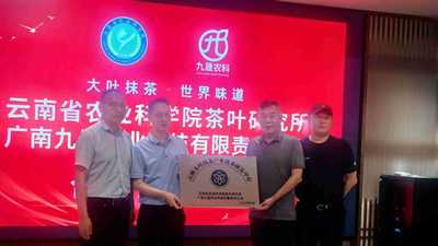 88载茶科研+广南大叶种抹茶园 院企联手邀你体验多元茶科创活动