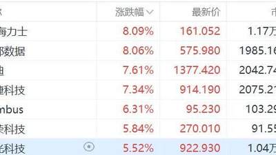 来体验美股存储板块的集体涨势吧！SK海力士、西部数据等个股涨幅超8%