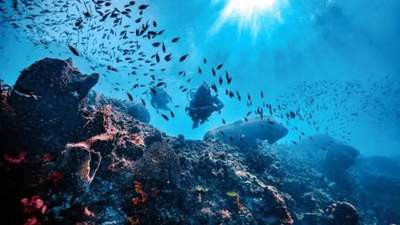 这15趟全球最贵旅行的多元玩法，你能解锁哪一种体验