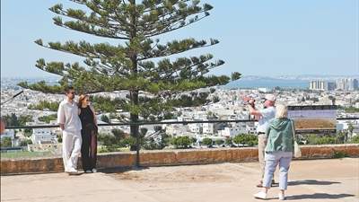 漫步绿荫道骑行享清凉 赴突尼斯邂逅碧海与古建交织的多元旅游体验