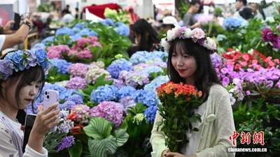暑期逛昆明斗南 沉浸式打卡亚洲最大鲜花市场