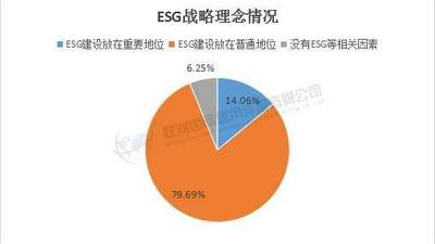 2024年A股媒体娱乐业上市公司党建活动参与体验分析：多元场景下的治理融合进展调查