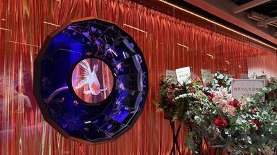 金鱼剧场启幕,上海文旅市场迎全新体验地标