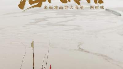 海风传信!来福建品尝大海第一网鲜味