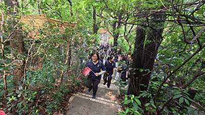 轻户外+公益，广州白云山六榕小径徒步如何引领文旅新风尚？