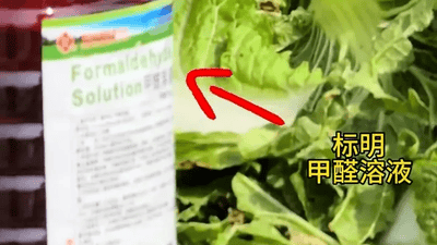 马上评|还有多少“甲醛白菜”流入了市场?