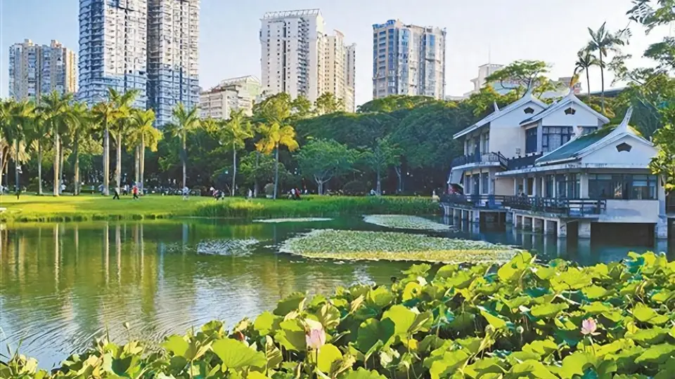 市民“出门进园”成寻常，厦门目前共有300多座公园（含口袋公园）