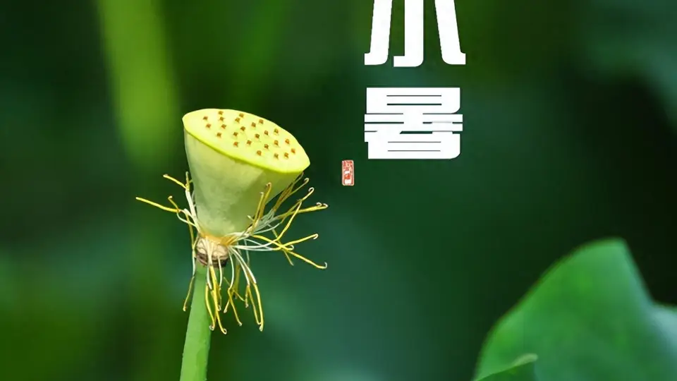 7月7日小暑要懂得忌口,少吃西瓜冷饮,多吃这4样,清热祛暑健脾