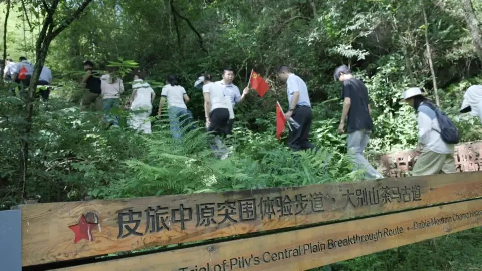 大别山千年古道焕新生:茶马遗韵与红色记忆共绘文旅新篇
