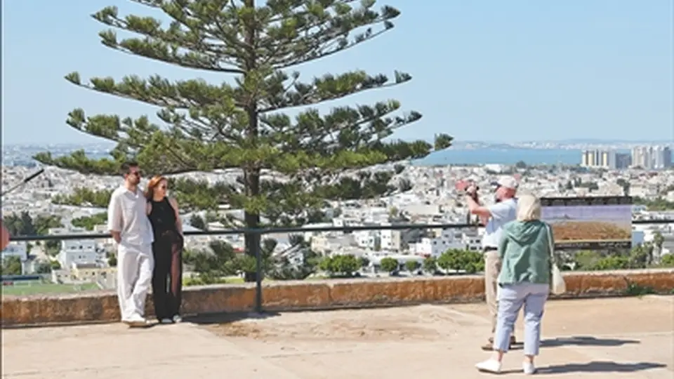 漫步绿荫道骑行享清凉 赴突尼斯邂逅碧海与古建交织的多元旅游体验