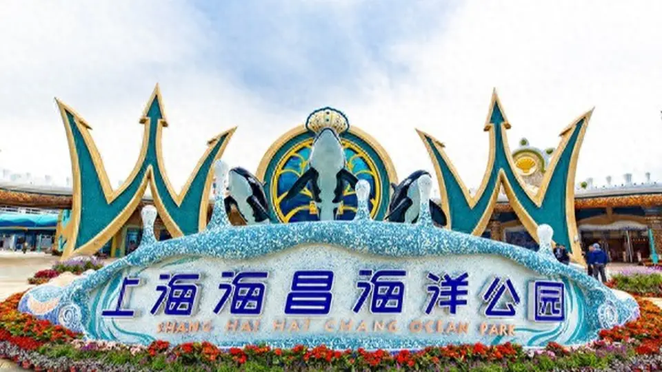 百亿资本扎堆入局亏损的海昌海洋公园，多元活动与游客体验成盈利破局关键？
