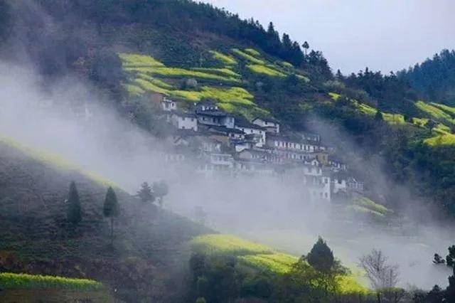 我写了一年游记，没有一篇关于风景，全是还给一个人的旧诺