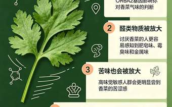 为什么一部分人天生讨厌香菜
