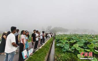 江西广昌“接天莲叶”图景吸引海内外游客