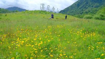四川石棉：摄影基地百花开，避暑拍照两相宜！