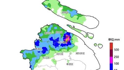 暴雨致复旦校园多处积水,校方:已恢复正常通行