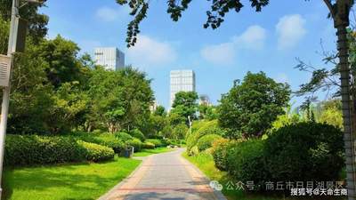 商丘日月湖景区:揽一城湖光,度一夏清欢