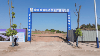 多元参与江津新酒饮产业建设 渝壶酒业白沙新酒饮基地获区委调研支持