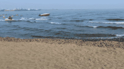 乐亭海岸闲游，僻静滩涂遇见渤海风光