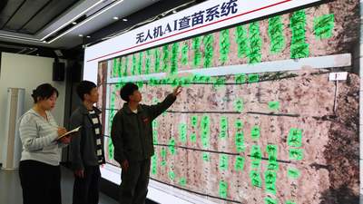 2026夏季达沃斯论坛观察