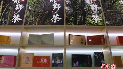 追寻“野”的智慧：浙江人与自然共生“金”