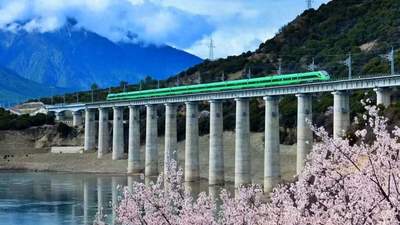 550公里穿越多年冻土！青藏铁路20年，运送旅客上亿人次