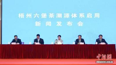中国茶产业溯源体系建设提速 构建茶叶“数字身份证”