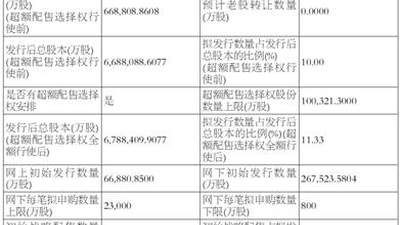长鑫科技集团股份有限公司首次公开发行股票并在科创板上市发行安排及初步询价公告