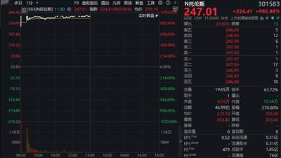 中一签赚12万！301583，开盘暴涨超1000%