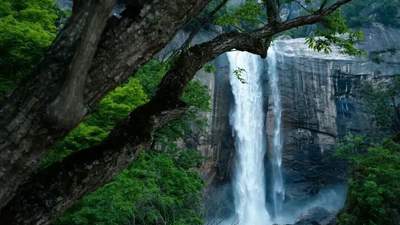 在洛阳，你的旅行人格是——