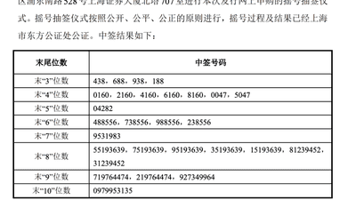 长鑫科技,中签号出炉!速查有你吗?