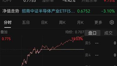 半导体板块大面积涨停 基金经理解读产业趋势与国产替代逻辑