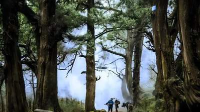 古道新途：绵阳公路串联山水画卷