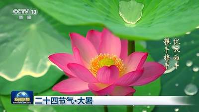 大暑时节赴多元文化活动 共赏盛夏自然景致与传统韵味