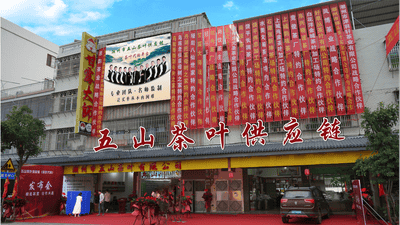 来感受五山茶叶多元茶品定制方案!参与茶产业升级的创新实践
