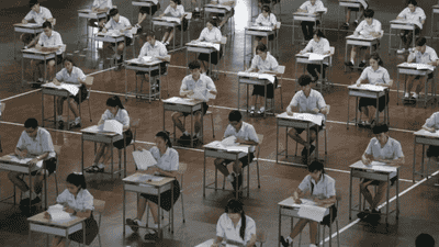 一个博士的滑落：努力20年，月入30元