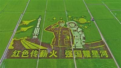 兴安盟古庙村稻田画盛景迎客 彩色秧苗绘就乡村文旅新景致