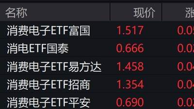 消费电子ETF涨超3% 这些板块龙头企业还在拉升
