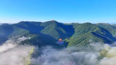 在雪域羚城 赴一场满是生机的夏日多元体验
